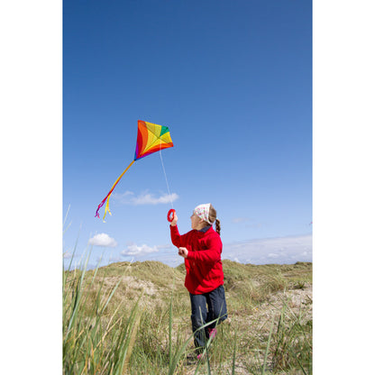 Single Line Eddy Rainbow Kite | HQ Kites USA