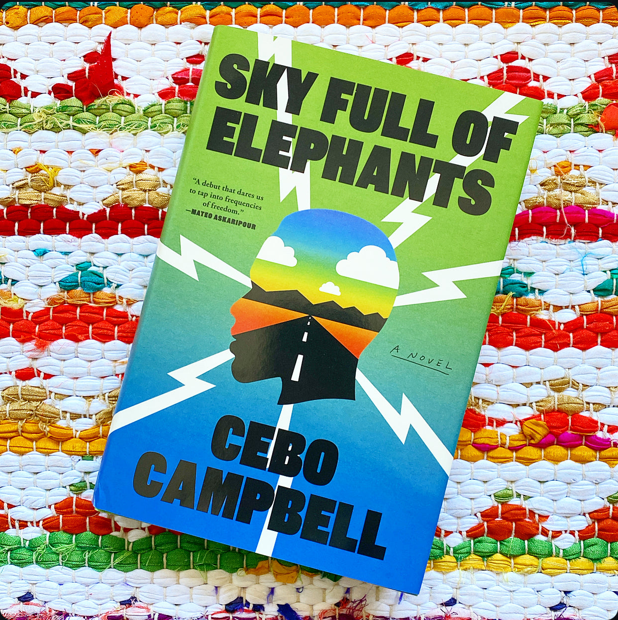 Sky Full of Elephants | Cebo Campbell