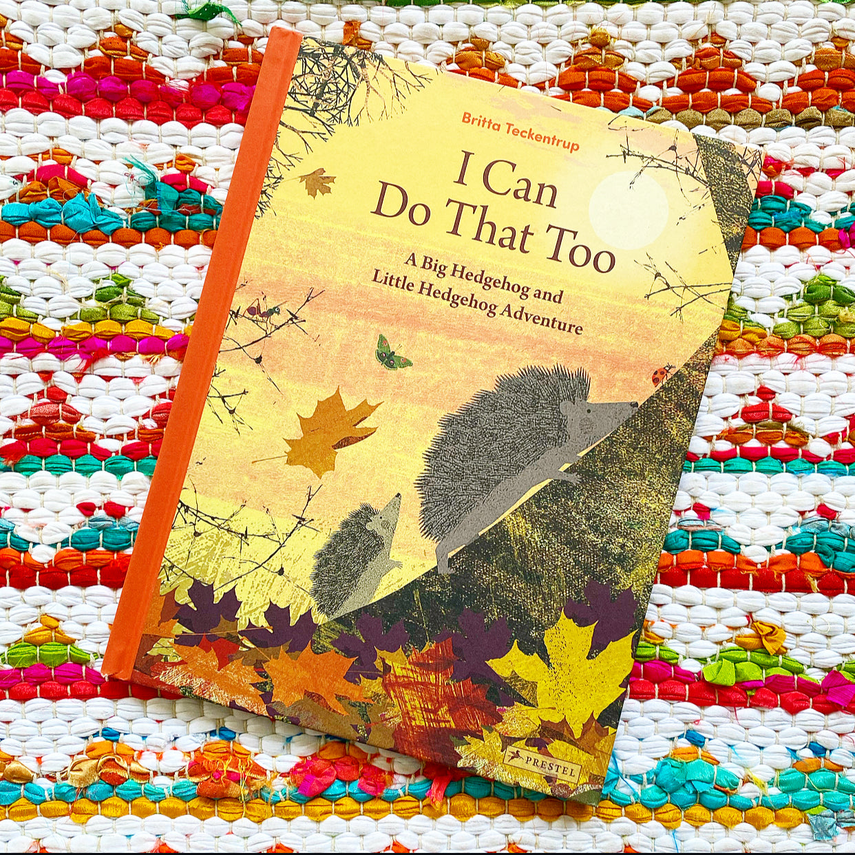 I Can Do That Too: A Big Hedgehog and Little Hedgehog Adventure | Britta Teckentrup