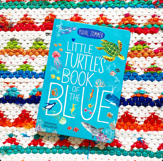 Little Turtle's Book of the Blue | Yuval Zommer