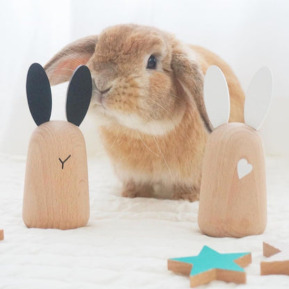 Usagi Bunny Chimes  | Kiko & GG