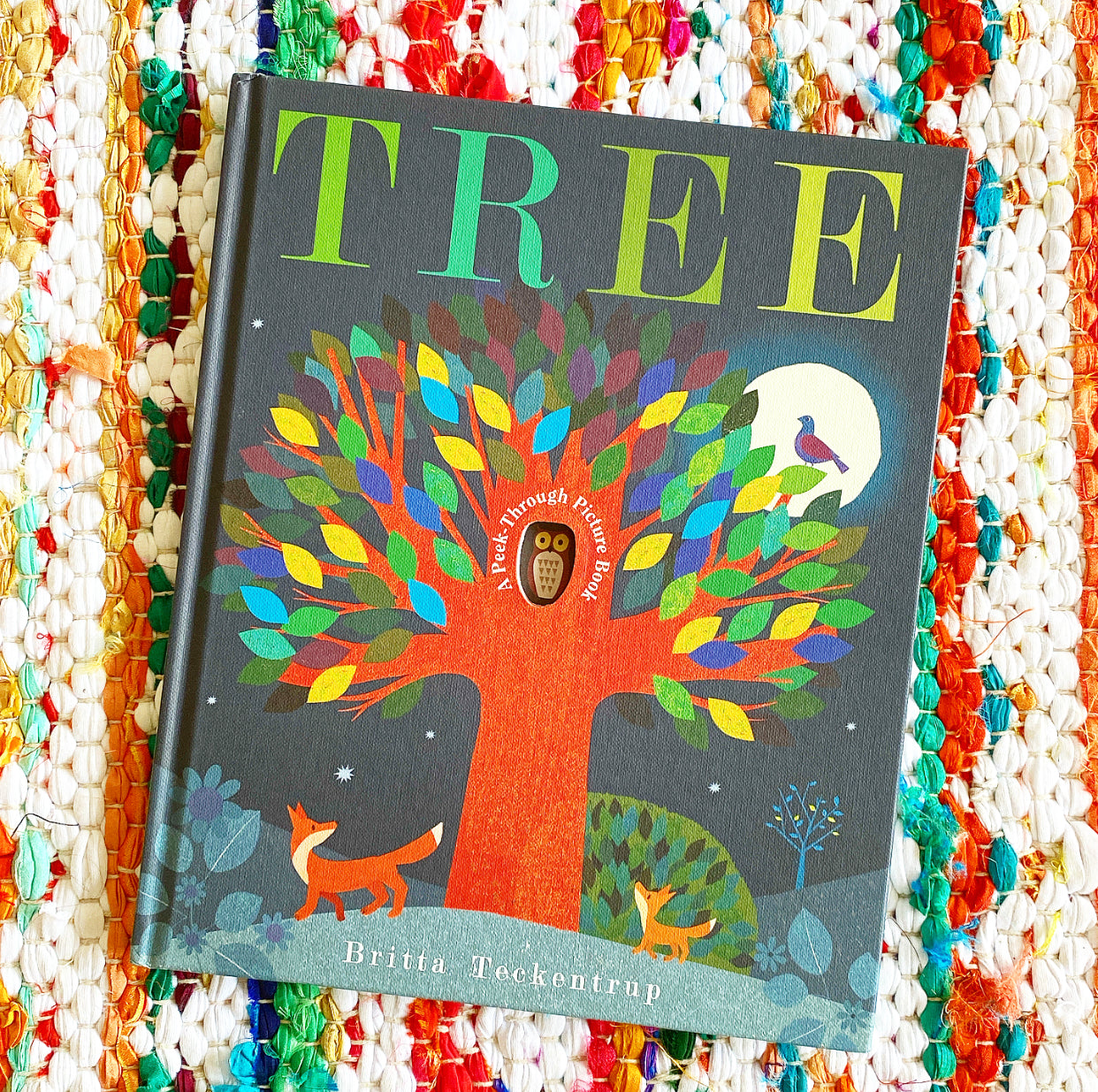 Tree: A Peek-Through Picture Book | Britta Teckentrup