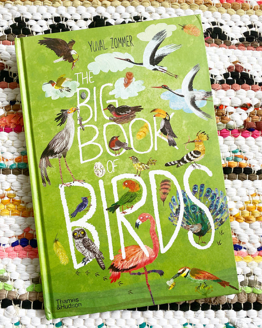 The Big Book of Birds | Yuval Zommer